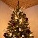 Brad artificial Christmas TSV TOP Grand Caucazian Premium, 2D, 220cm CT-0187 foto 38