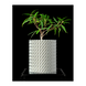 Ghiveci de flori 3d Folium Premium rotund 12.5 x 14,3 cm, Culoare Аlb 3dv0020 foto 2
