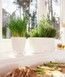 Ghiveci inteligent Lechuza Delta 10 oval 2 l 30 x 11 x 13 cm, culoare antracit 15467 foto 6