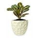 Ghiveci de flori 3d, Dunora , rotund 13 x 12 cm, Culoare Аlb 3dv0677 foto 1
