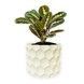 Ghiveci de flori 3d, Razorix , rotund 18 x 16.5 cm, Culoare Аlb 3dv0877 foto 1