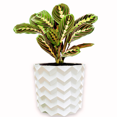 Ghiveci de flori 3d, Pixelon , rotund 12 x 11 cm, Culoare Аlb 3dv0578 foto