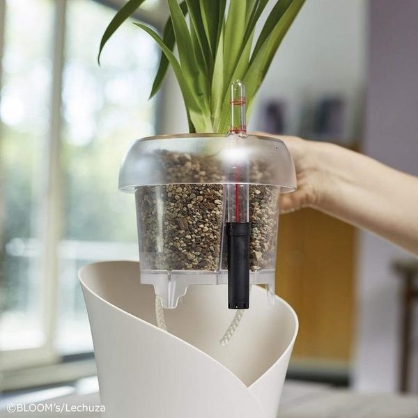 Lechuza Orchidpon substrat pentru orhidee 3 l 19580 foto