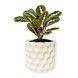 Ghiveci de flori 3d, Geonix , rotund 16.5 x 15.5 cm, Culoare Аlb 3dv0729 foto 1