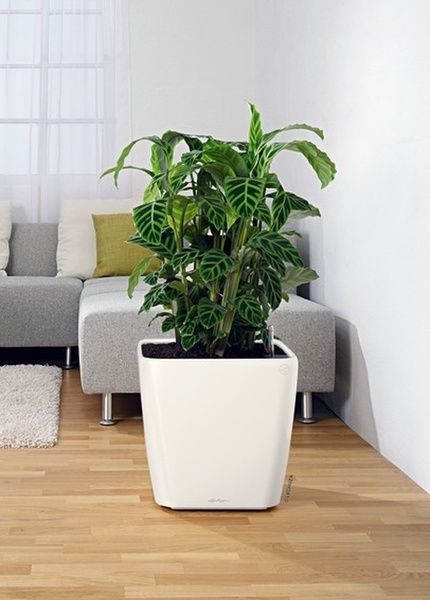 Ghiveci inteligent Lechuza Quadro Premium LS 50 pătrat 53 l 50 x 46 cm, Culoare Alb 16280 foto