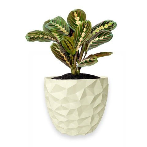 Ghiveci de flori 3d, Dunora , rotund 16.5 x 15.5 cm, Culoare Аlb 3dv0680 foto