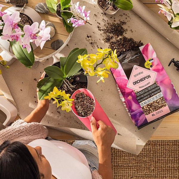 Lechuza Orchidpon substrat pentru orhidee 6 l 19581 foto