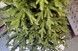 Brad artificial Christmas TSV TOP Grand Nature, 2D+3D, 230cm SRS1605 foto 6