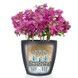 Ghiveci inteligent Lechuza Classico Color 18 rotund 2,5 l 19 x 17 cm, Culoare Alb 13261 foto 5