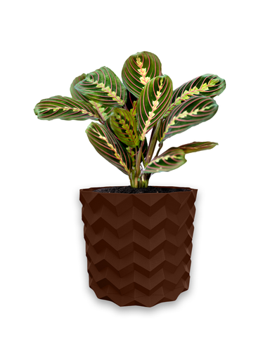Ghiveci de flori 3d, Pixelon , rotund 11 x 10 cm, Culoare Maro 3dv0584 foto