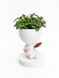 Ghiveci de flori 3D WineBuddy Book, alb, 140 &times; 185 mm 3dv0995 foto 5