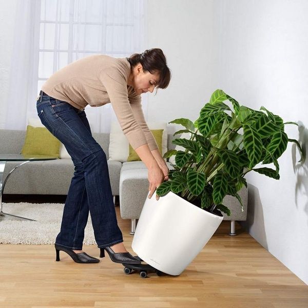 Ghiveci inteligent Lechuza Classico Premium 60 rotund 90 l 60 x 55 cm, culoare antracit 14563 foto