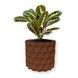 Ghiveci de flori 3d, Geonix , rotund 14.5 x 13.5 cm, Culoare Maro 3dv0734 foto 1