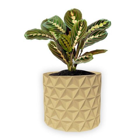 Ghiveci de flori 3d, Trigrix , rotund 12 x 11 cm, Culoare Bej 3dv0935 foto