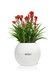 Ghiveci inteligent Lechuza Puro Color 20 rotund 1,2 l 20 x 16 cm, Culoare Alb 13360 foto 6