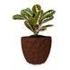 Ghiveci de flori 3d, Dunora , rotund 14.5 x 13.5 cm, Culoare Maro 3dv0685 foto 1