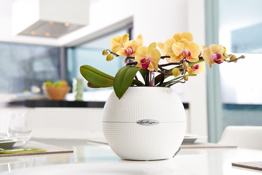 Ghiveci inteligent Lechuza Puro Color 20 rotund 1,2 l 20 x 16 cm, Culoare Alb 13360 foto