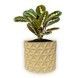 Ghiveci de flori 3d, Trigrix , rotund 13 x 12 cm, Culoare Bej 3dv0936 foto 1