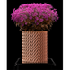 Ghiveci de flori 3d Folium Premium rotund 11.5 x 13.2 cm, Culoare Maro 3dv0013 foto 5