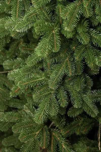 Brad artificial premium Bucovina, ace 3D, PE, 250 cm, cu suport metalic, Verde TSV1239 foto