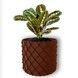 Ghiveci de flori 3d, Volcanic Dragon , rotund 15.5 x 14.5 cm, Culoare Maro 3dv0637 foto 1