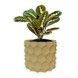 Ghiveci de flori 3d, Razorix , rotund 13 x 12 cm, Culoare Bej 3dv0887 foto 1