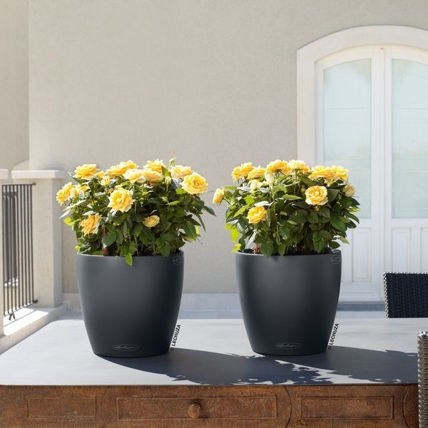 Ghiveci inteligent Lechuza Classico Color 21 rotund 5 l 22 x 21 cm, Culoare Alb 13170 foto