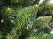 Brad artificial Christmas TSV TOP Grand Himalaya, 180cm SRS0592 foto 2