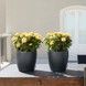 Ghiveci inteligent Lechuza Classico Color 21 rotund 5 l 22 x 21 cm, Culoare Alb 13170 foto 6