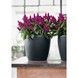 Ghiveci inteligent Lechuza Classico Color 21 rotund 5 l 22 x 21 cm, Culoare Alb 13170 foto 7