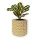 Ghiveci de flori 3d, Krystar , rotund 12 x 11 cm, Culoare Bej 3dv0788 foto 1