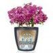 Ghiveci inteligent Lechuza Classico Color 21 rotund 5 l 22 x 21 cm, Culoare Alb 13170 foto 3