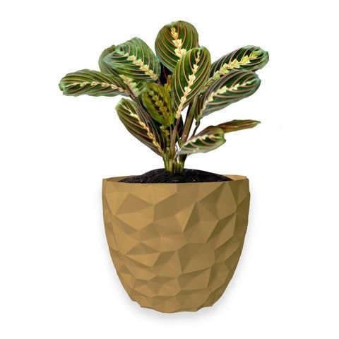 Ghiveci de flori 3d, Dunora , rotund 11 x 10 cm, Culoare Bej 3dv0689 foto