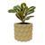 Ghiveci de flori 3d, Razorix , rotund 15.5 x 14.5 cm, Culoare Bej 3dv0889 foto