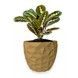 Ghiveci de flori 3d, Dunora , rotund 11 x 10 cm, Culoare Bej 3dv0689 foto 1