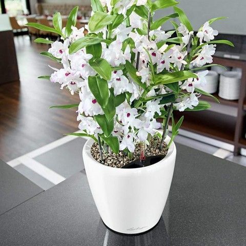 Ghiveci inteligent Lechuza Classico Premium LS 21 rotund 3 l 22 x 20 cm, Culoare Alb 16020 foto
