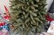 Brad artificial Christmas TSV TOP Grand Caucazian, 250cm CT083 foto 4