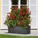 Ghiveci inteligent Lechuza Balconera 30 TRIO Cabană dreptunghiulară 14 x 3 l 32 x 100 x 35 cm, Culoare Maro deschis 15006 foto 1