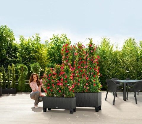 Ghiveci inteligent Lechuza Balconera 30 TRIO Cabană dreptunghiulară 14 x 3 l 32 x 100 x 35 cm, culoare Mocha 15005 foto