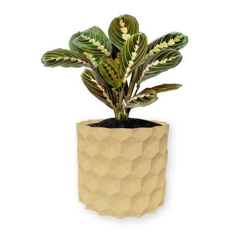 Ghiveci de flori 3d, Geonix , rotund 16.5 x 15.5 cm, Culoare Bej 3dv0743 foto
