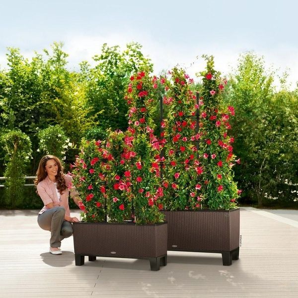 Ghiveci inteligent Lechuza Balconera 30 TRIO Cabană dreptunghiulară 14 x 3 l 32 x 100 x 35 cm, culoare Mocha 15005 foto