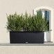 Ghiveci inteligent Lechuza Balconera 30 TRIO Cabană dreptunghiulară 14 x 3 l 32 x 100 x 35 cm, culoare Mocha 15005 foto 8