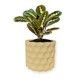 Ghiveci de flori 3d, Geonix , rotund 16.5 x 15.5 cm, Culoare Bej 3dv0743 foto 1