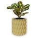 Ghiveci de flori 3d, Twist Flow , rotund 13 x 12 cm, Culoare Bej 3dv0544 foto 2