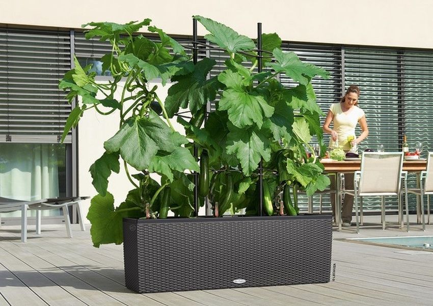 Ghiveci inteligent Lechuza Balconera 30 TRIO Cabană dreptunghiulară 14 x 3 l 32 x 100 x 35 cm, Culoare Granit 15003 foto