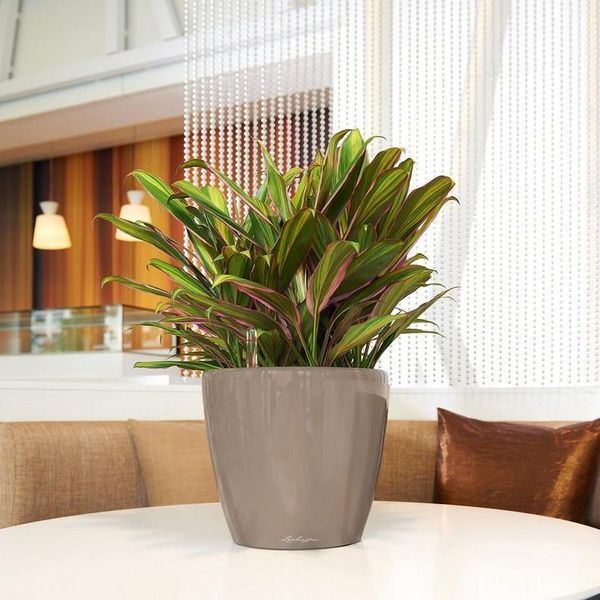 Ghiveci inteligent Lechuza Classico Premium LS 28 rotund 7 l 29 x 26 cm, Culoare Negru 16049 foto
