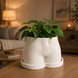Ghiveci &ndash; vază de flori 3D &bdquo;Aura&rdquo; alb &ndash; siluetă feminină 230 &times; 155 mm 3dv1112 foto 4