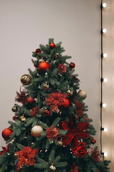 Brad artificial Christmas TSD Grand Elite 2,4m Vere TSD520094 foto
