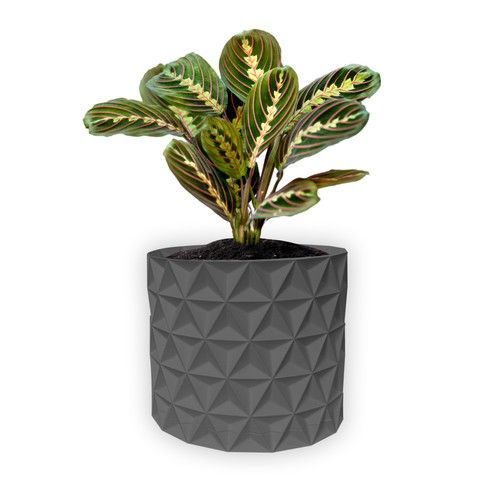 Ghiveci de flori 3d, Trigrix , rotund 15.5 x 14.5 cm, Culoare Gri 3dv0903 foto